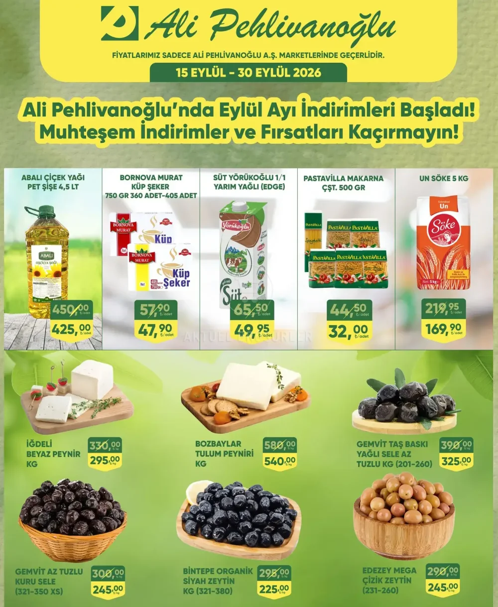 Ali Pehlivanoğlu İndirim Bülteni Broşürü