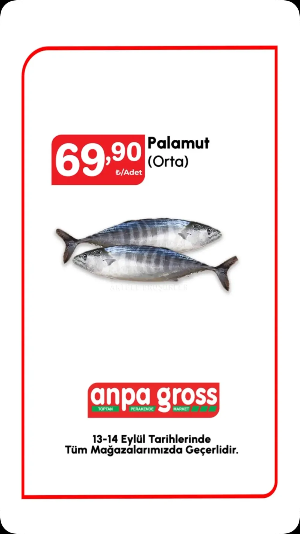 Anpa Gross Palamut Orta Adet 69,90 TL