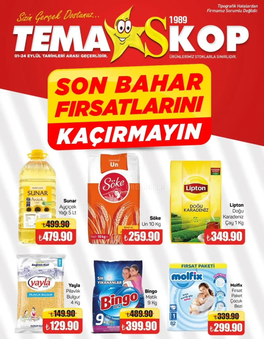 Tema Market TemaSkop İndirim Bülteni Broşürü